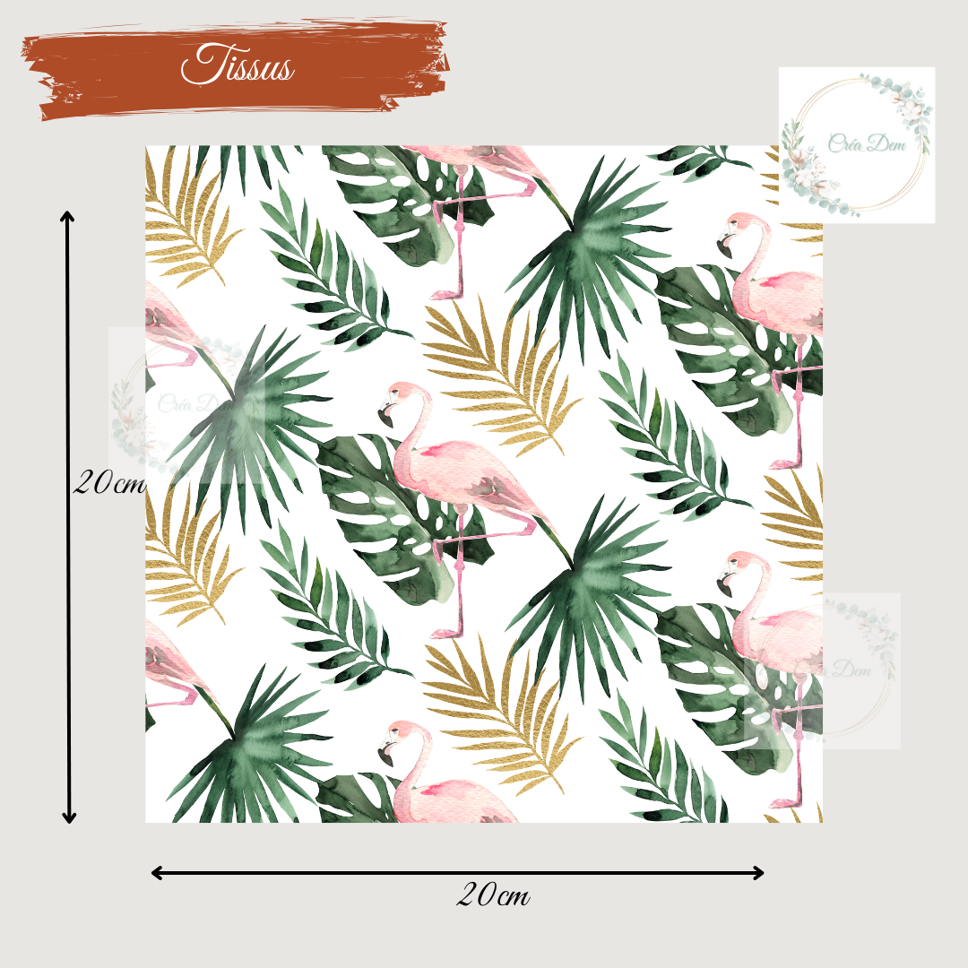 Flamands roses feuilles