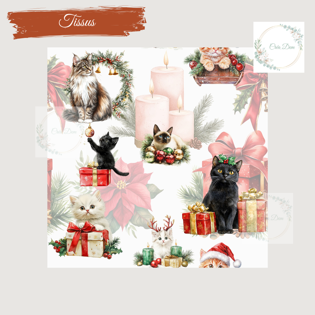 Noel de chat