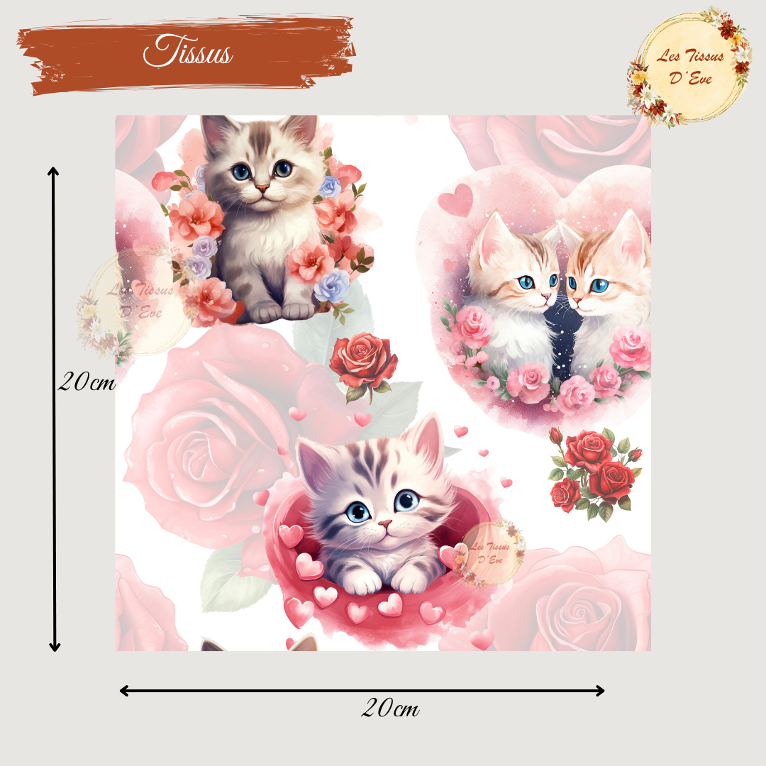 Chatons roses